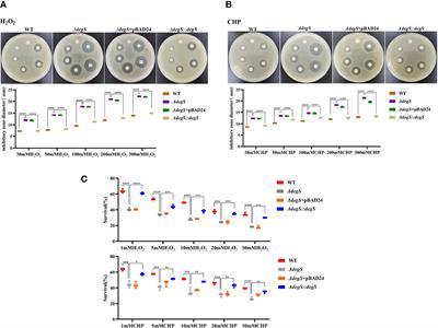 DegS protease regulates antioxidant capacity and adaptability to oxidative stress environment in Vibrio cholerae